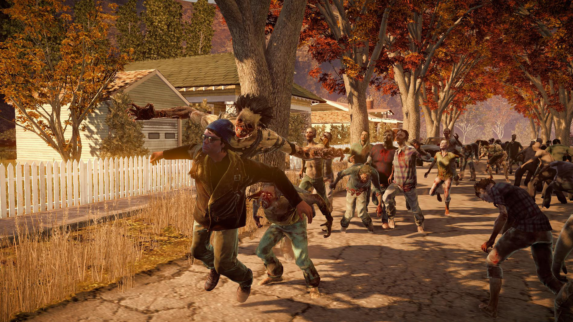 state of decay: year-one survival edition